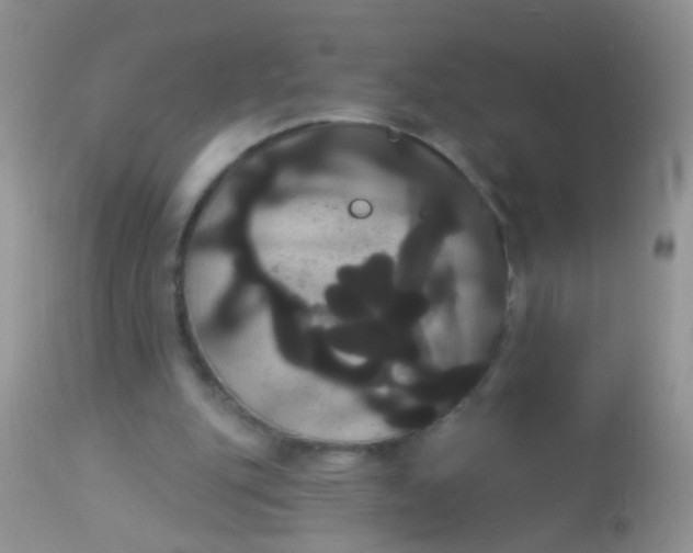 X0000113060151200909182009