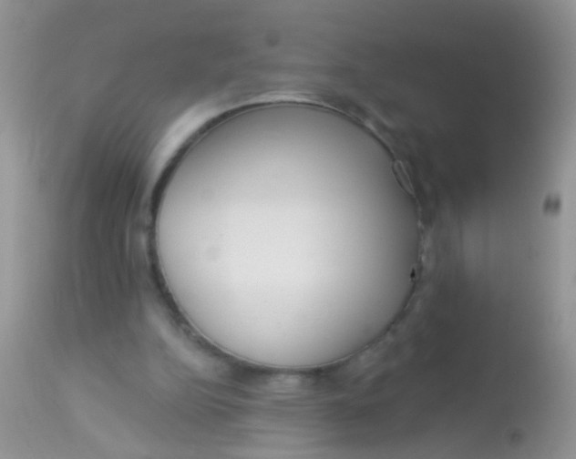 X0000113060152200909182009