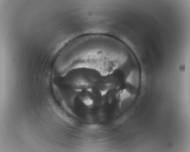 X0000113060153200909182009