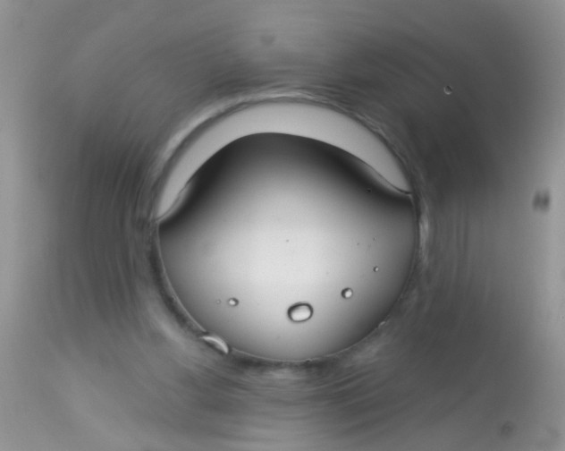 X0000113060156200909182009