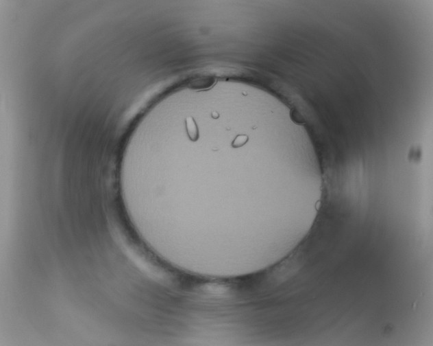 X0000113060159200909182009