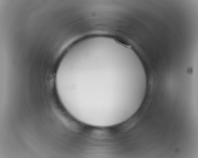 X0000113060160200909182009