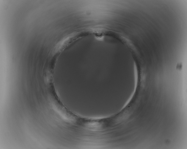 X0000113060161200909182009