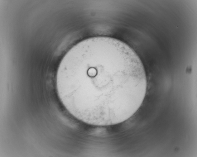 X0000113060162200909182009