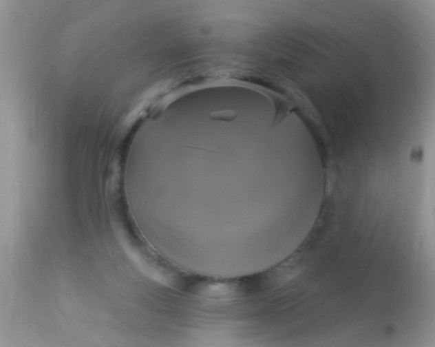 X0000113060163200909182009