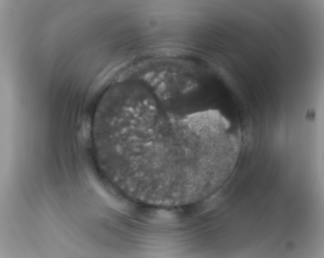 X0000113060166200909182009