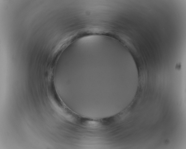 X0000113060167200909182009