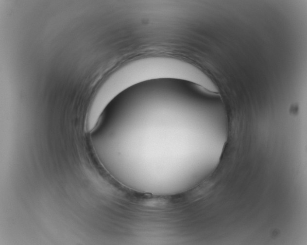 X0000113060168200909182009