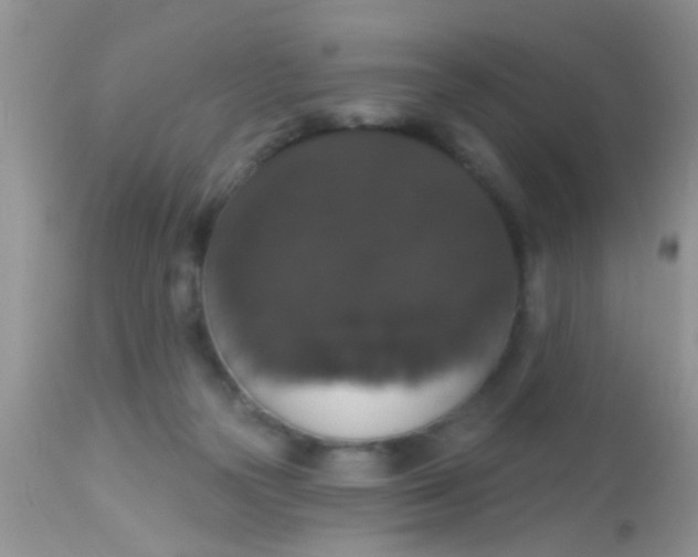 X0000113060169200909182009