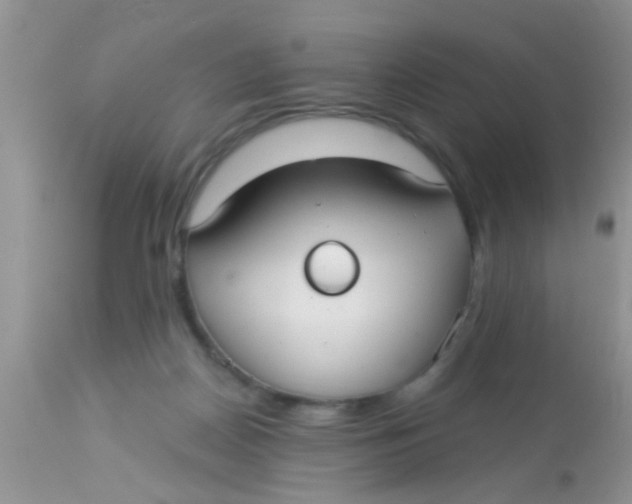 X0000113060170200909182009