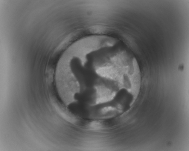 X0000113060171200909182009