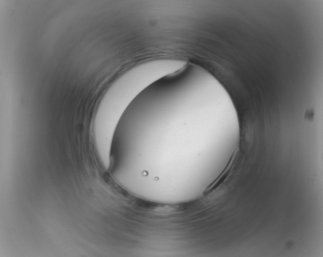 X0000113060172200909182009