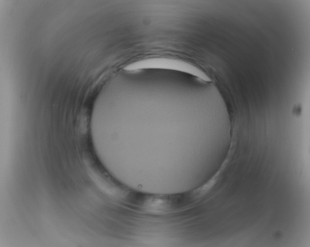 X0000113060174200909182009