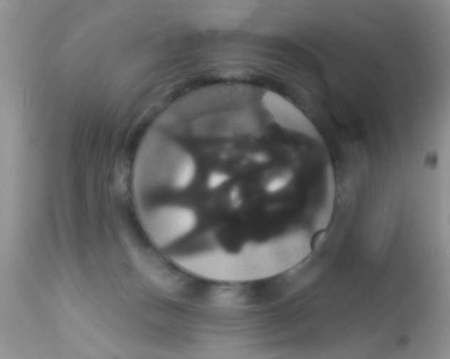 X0000113060175200909182009