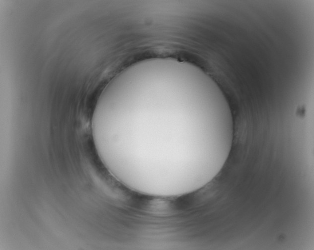 X0000113060176200909182009