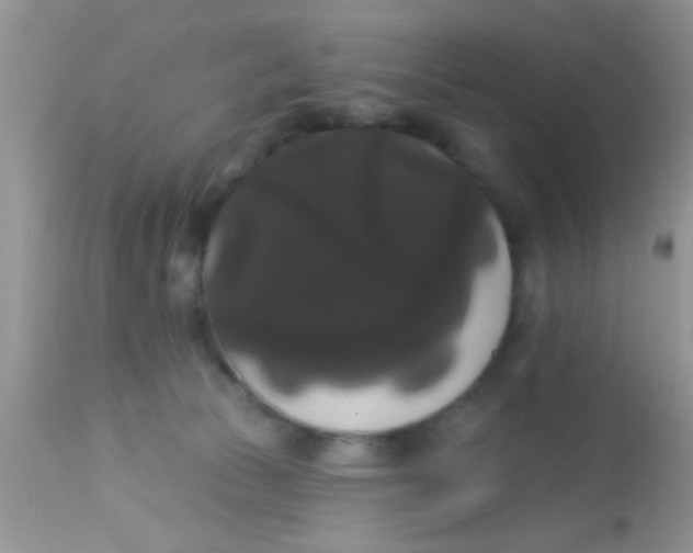 X0000113060177200909182009