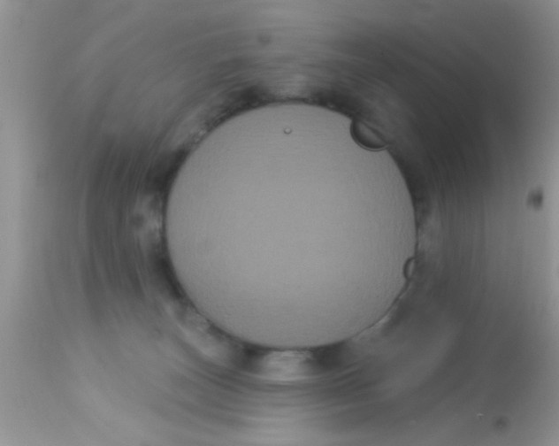 X0000113060179200909182009