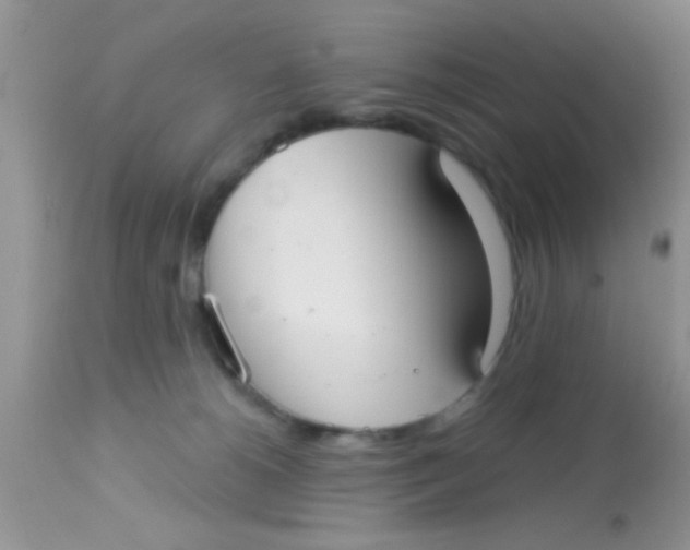 X0000113060180200909182009