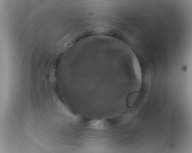 X0000113060181200909182009