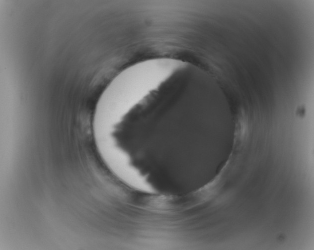 X0000113060182200909182009