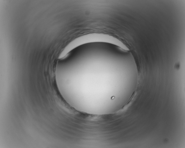 X0000113060186200909182009