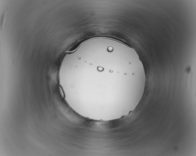 X0000113060188200909182009