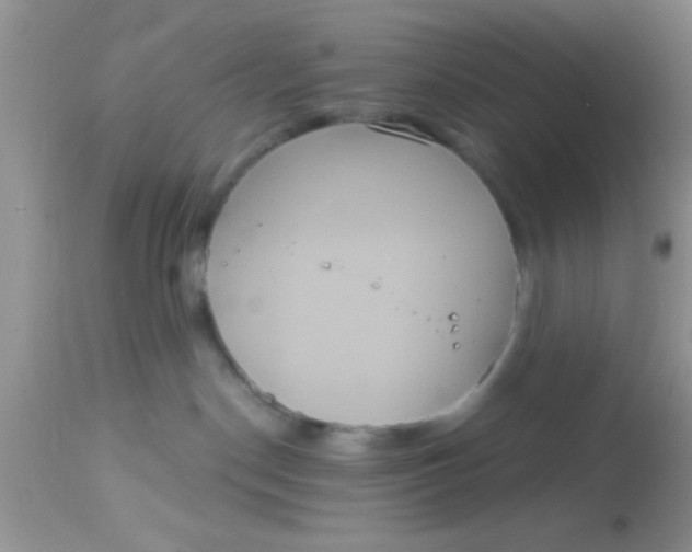 X0000113060190200909182009