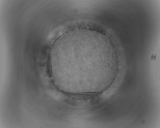 X0000113060192200909182009