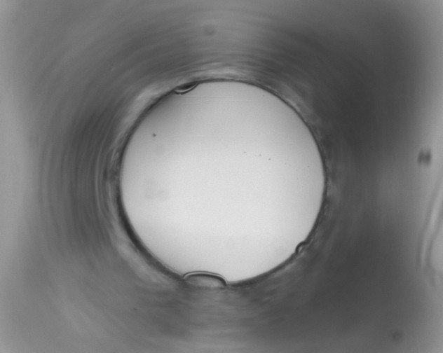 X0000113060193200909182009