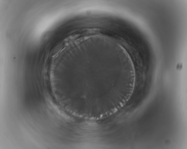 X0000113060194200909182009