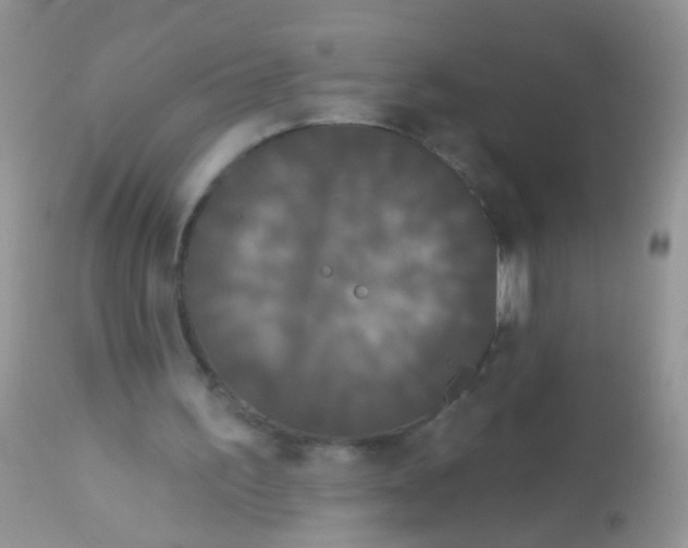 X0000113060195200909182009