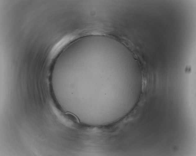 X0000113060197200909182009