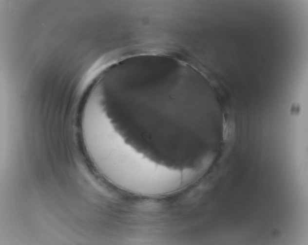 X0000113060198200909182009