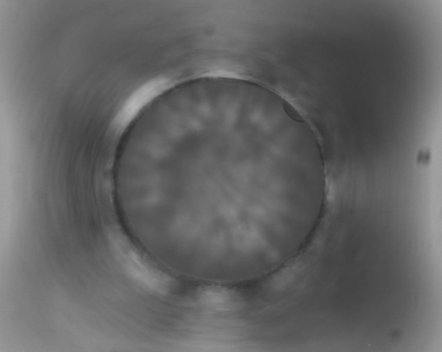 X0000113060199200909182009