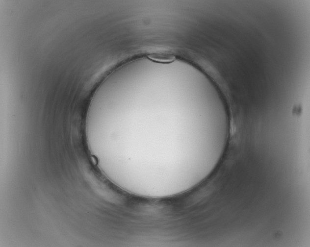 X0000113060201200909182009