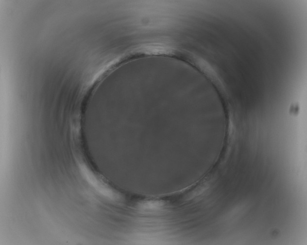 X0000113060202200909182008