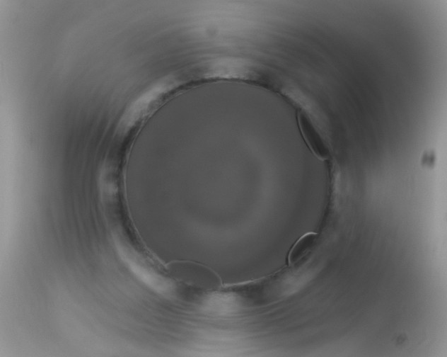 X0000113060203200909182008