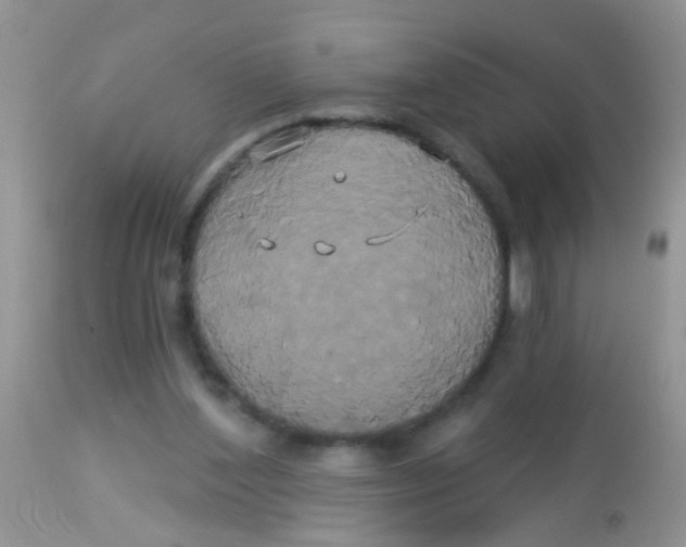 X0000113060204200909182008