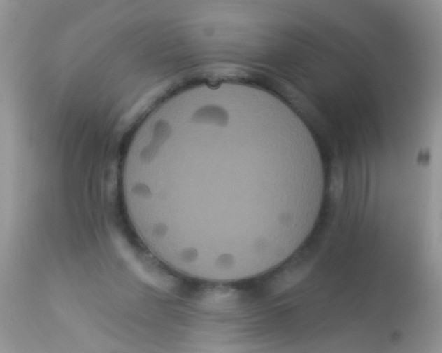 X0000113060206200909182008