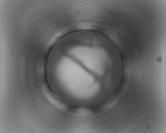 X0000113060207200909182008