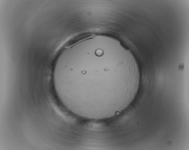 X0000113060208200909182008