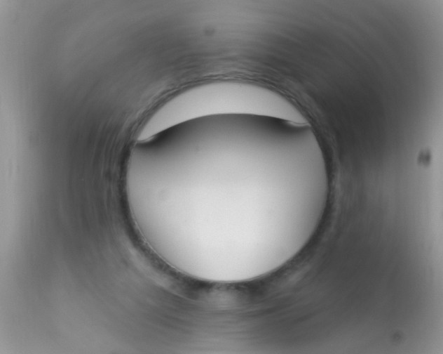 X0000113060209200909182008