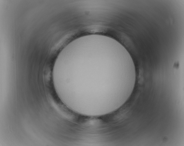 X0000113060210200909182008