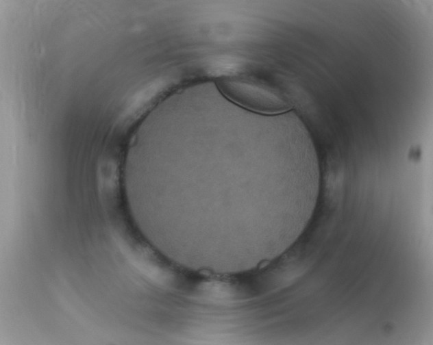 X0000113060211200909182008