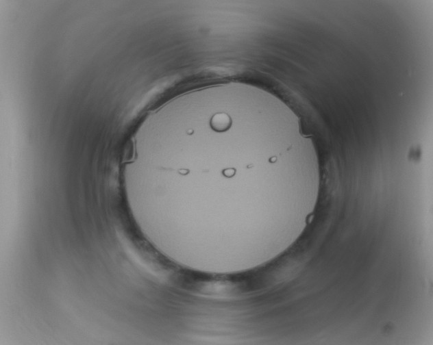 X0000113060212200909182008