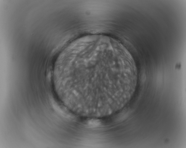 X0000113060214200909182008