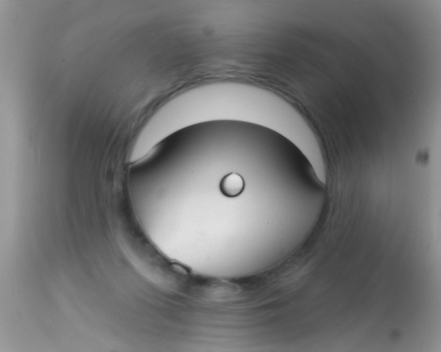 X0000113060215200909182008