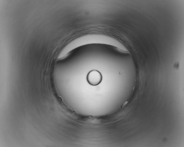 X0000113060217200909182008