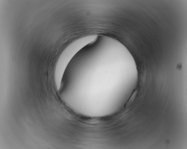 X0000113060219200909182008