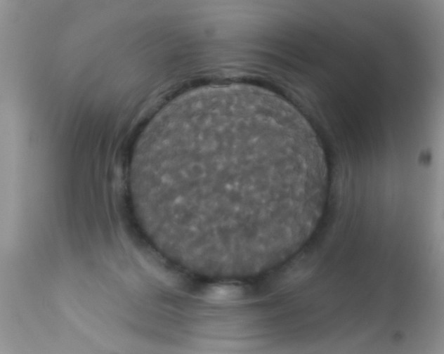 X0000113060220200909182008